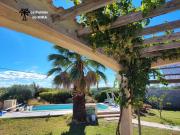 Raisin blanc de la terrasse du Palmier de Mira et vue sur la piscine