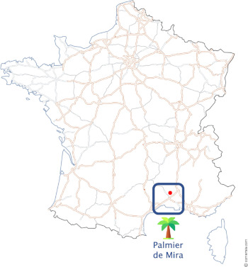 Localisation du Palmier de Mira en France